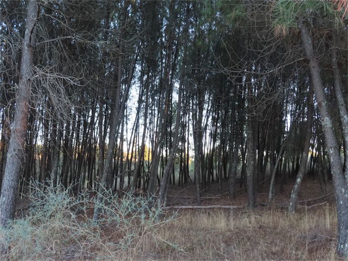 Image No.35-Property for sale