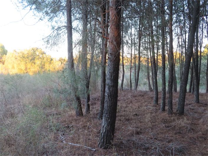 Image No.36-Property for sale