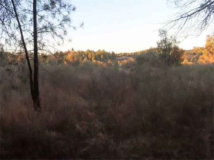 Image No.37-Property for sale