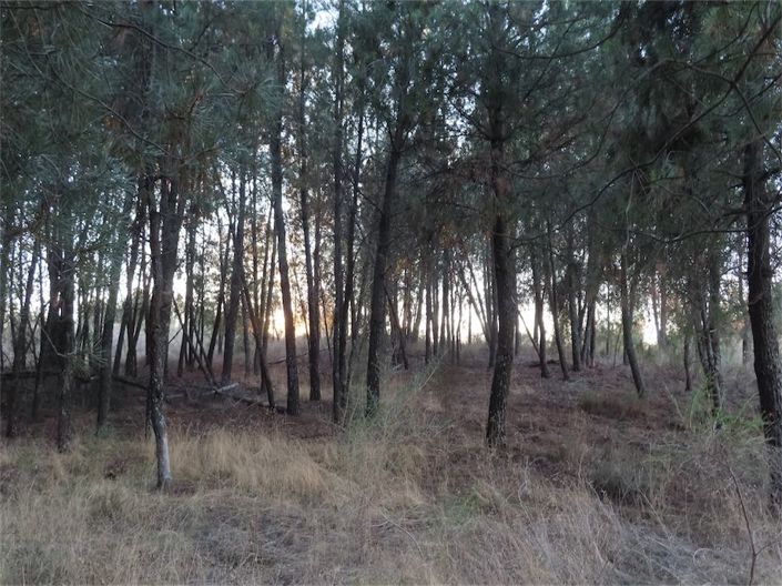 Image No.38-Property for sale