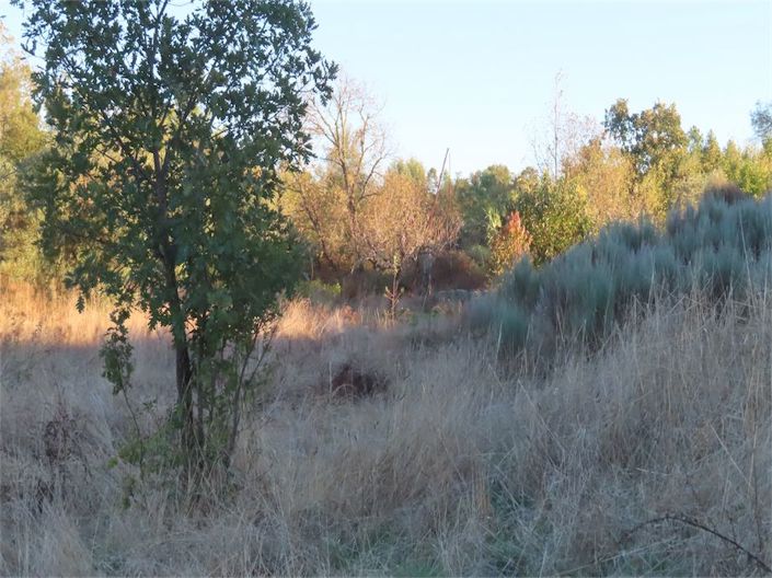 Image No.5-Property for sale