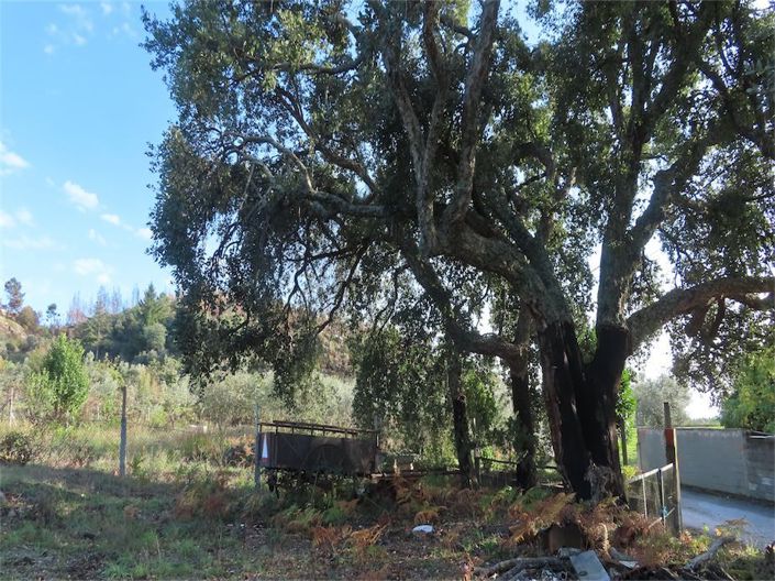 Image No.10-Property for sale