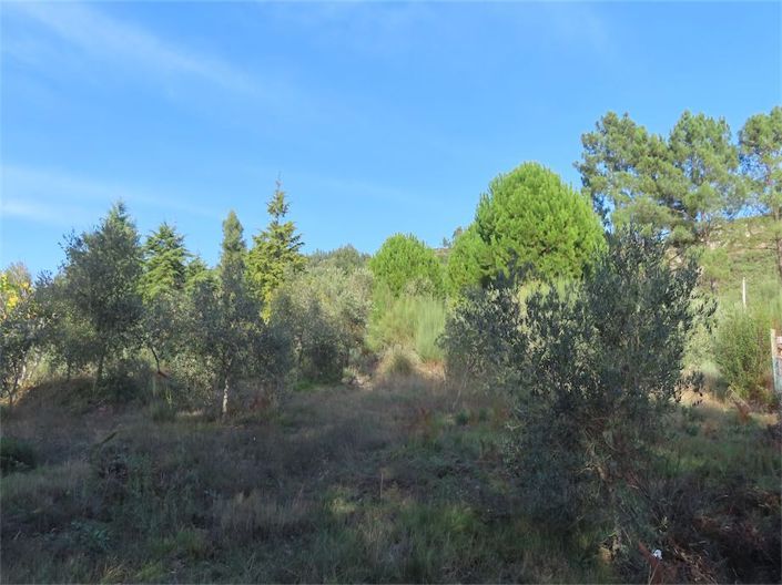 Image No.12-Property for sale