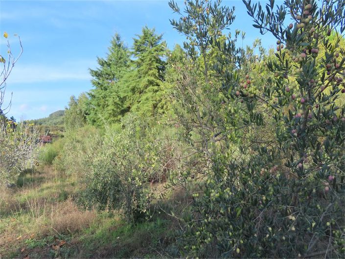 Image No.13-Property for sale