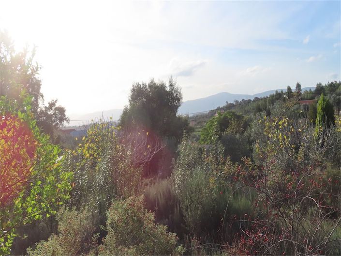 Image No.14-Property for sale