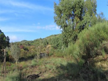 Properties in Portugal most sold property