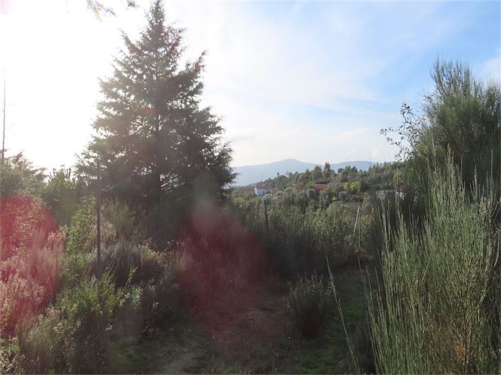 Image No.22-Property for sale