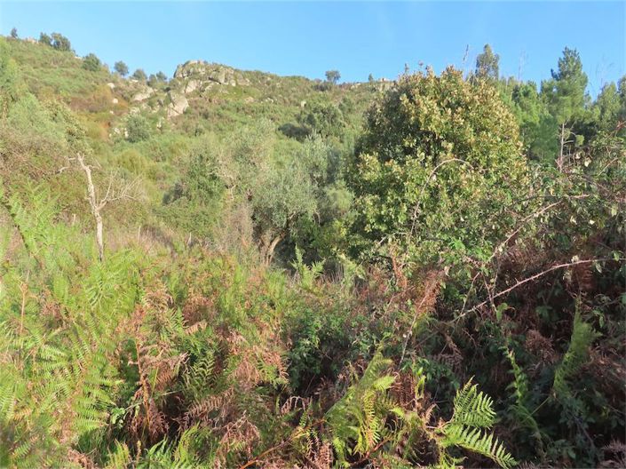 Image No.26-Property for sale