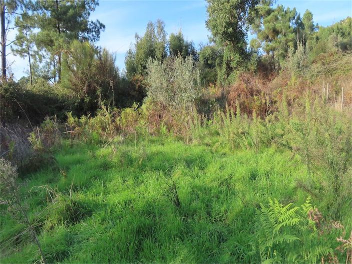 Image No.27-Property for sale