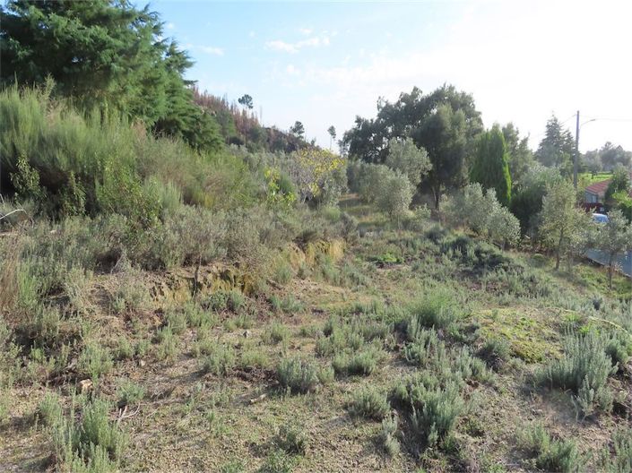 Image No.3-Property for sale