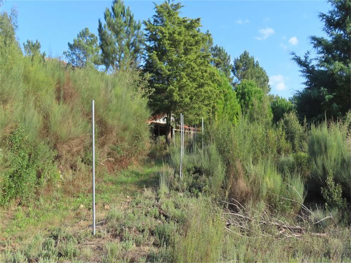 Image No.4-Property for sale