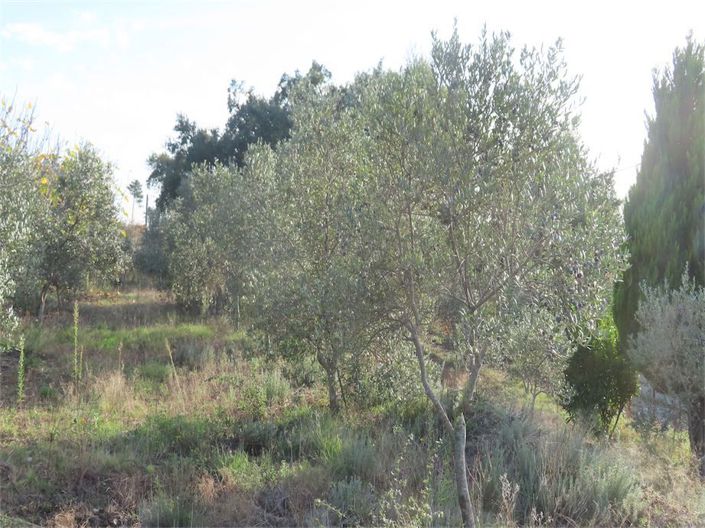 Image No.5-Property for sale