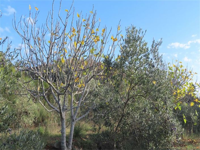 Image No.6-Property for sale