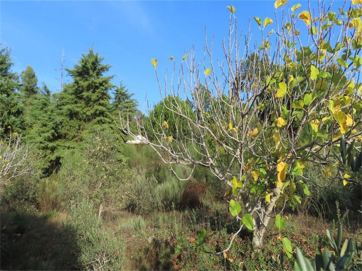 Image No.7-Property for sale