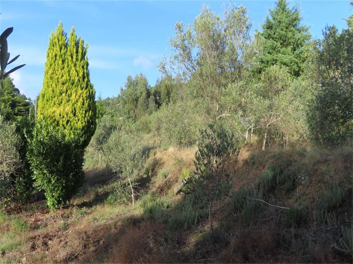 Image No.8-Property for sale