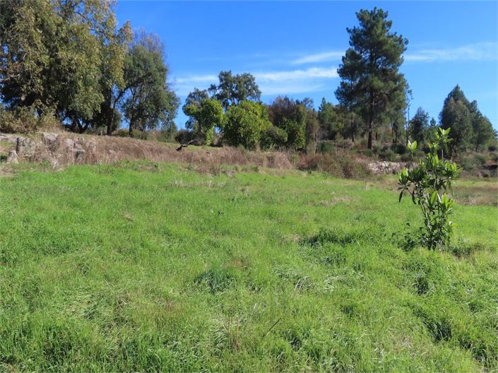 Image No.25-5 Bed Property for sale