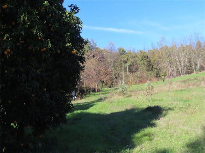 Image No.31-5 Bed Property for sale