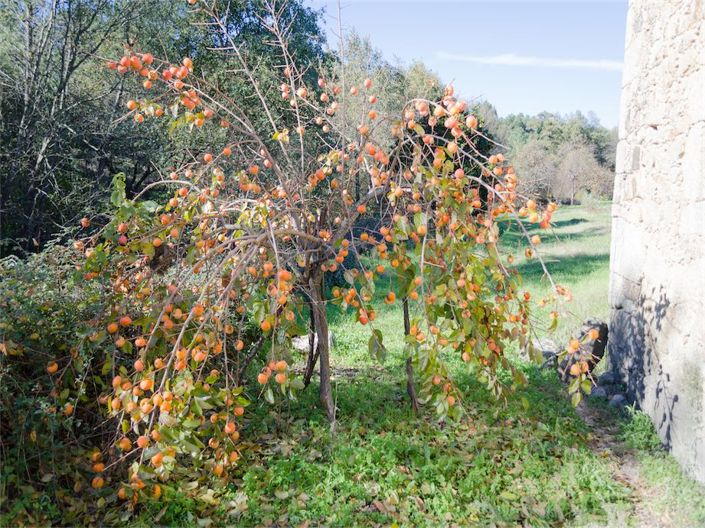 Image No.33-5 Bed Property for sale