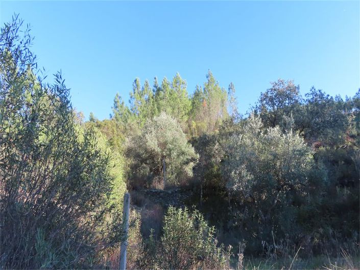 Image No.20-Property for sale