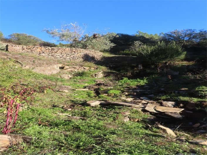 Image No.3-Property for sale