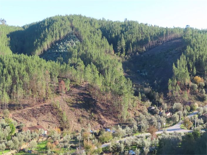 Image No.36-Property for sale