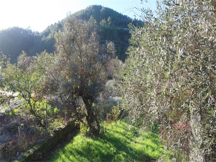 Image No.9-Property for sale