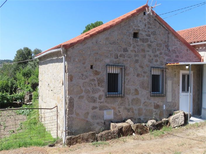 Castelo Branco, Property