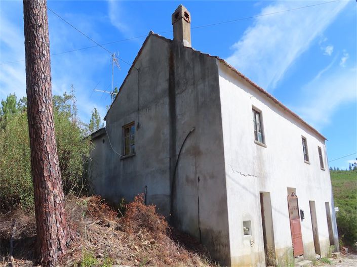 Castelo Branco, Property