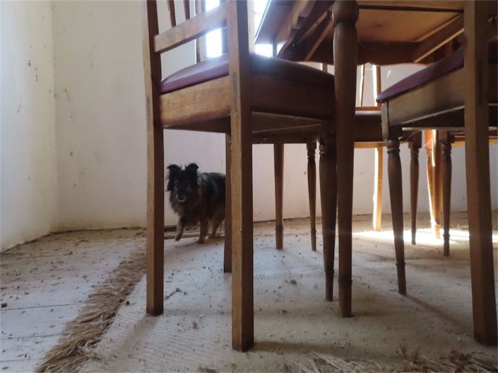 Image No.19-3 Bed Property for sale