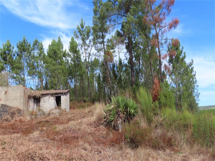 Image No.29-3 Bed Property for sale