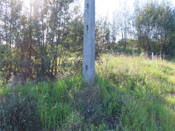 Castelo Branco, Property