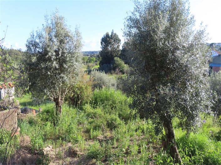 Image No.12-Property for sale