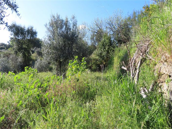 Image No.16-Property for sale