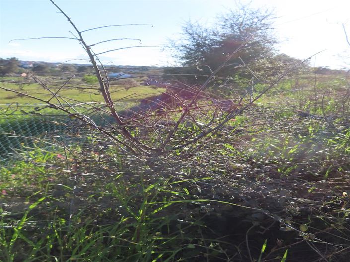 Image No.2-Property for sale