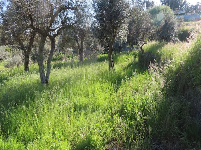 Image No.20-Property for sale