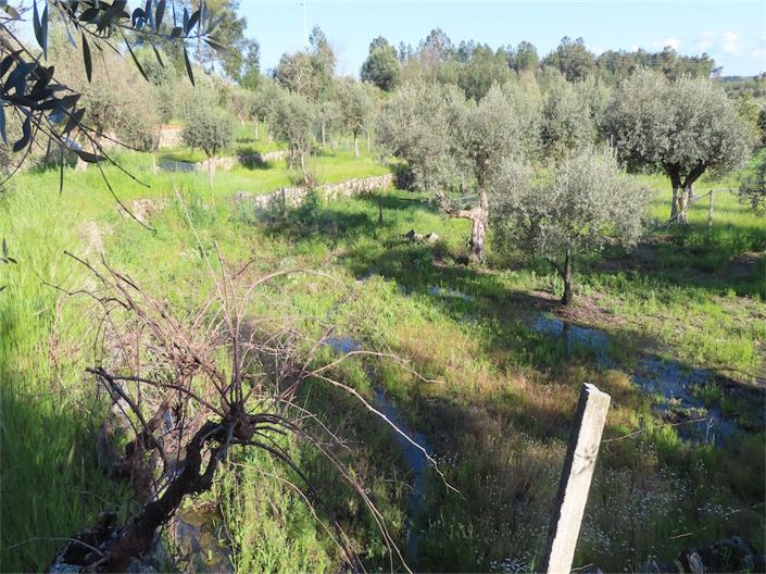 Image No.22-Property for sale