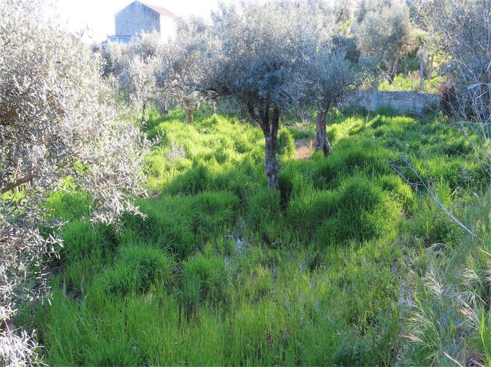 Image No.23-Property for sale