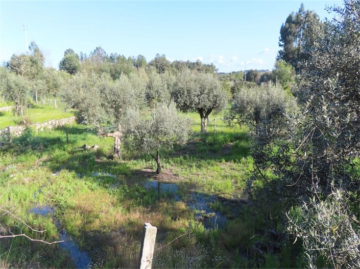 Image No.24-Property for sale