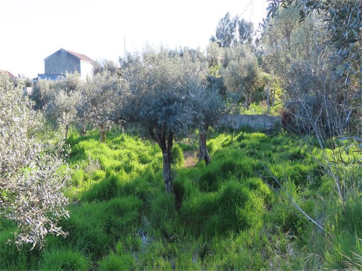 Image No.25-Property for sale