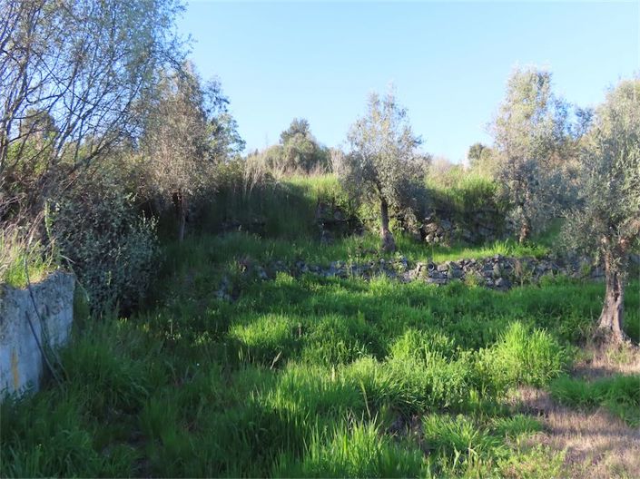 Image No.26-Property for sale