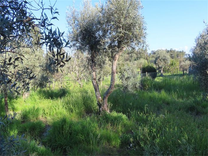 Image No.28-Property for sale