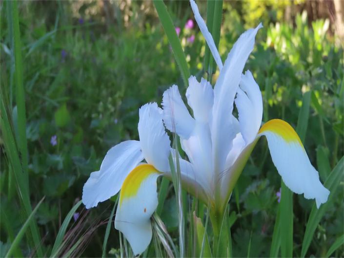 Image No.30-Property for sale