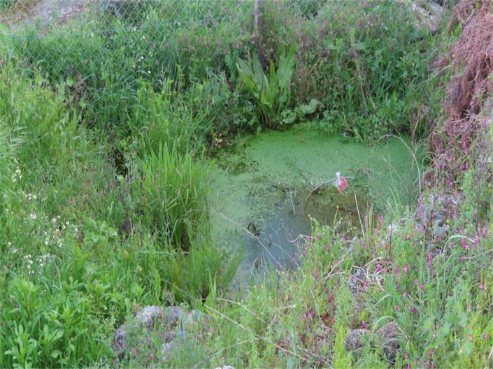 Image No.31-Property for sale