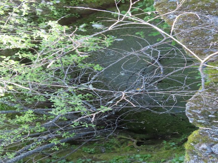 Image No.33-Property for sale