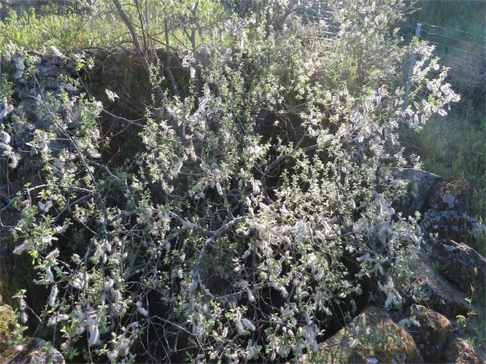 Image No.35-Property for sale