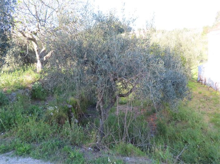 Image No.37-Property for sale