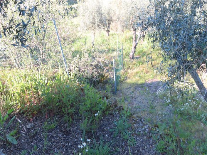 Image No.41-Property for sale