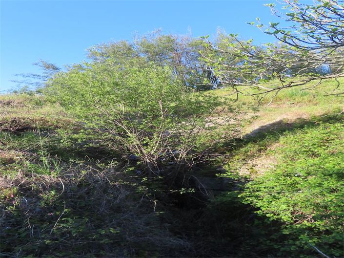 Image No.42-Property for sale