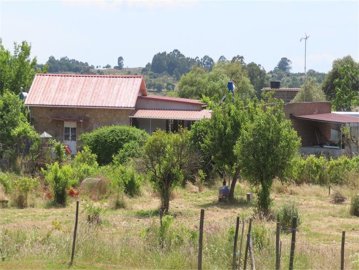 63362426-99b6-4b9b-a7fc-7c96f30bbd10