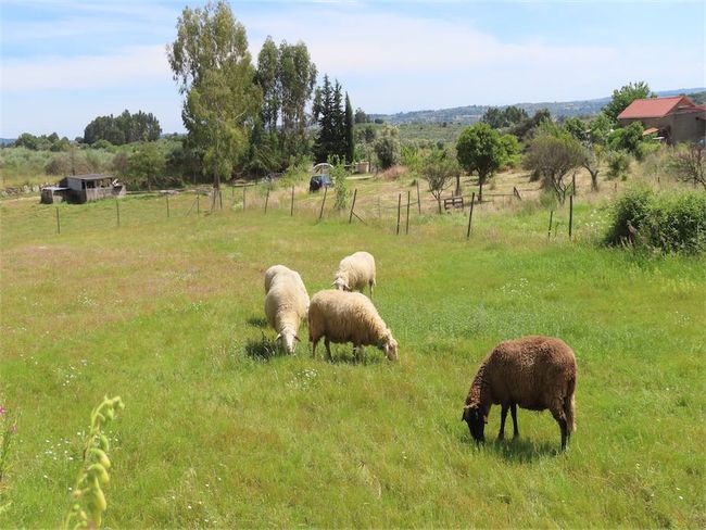 Image No.2-Propriété de 2 chambres à vendre à Castelo Branco